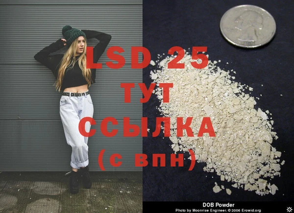 гидропоника Бородино