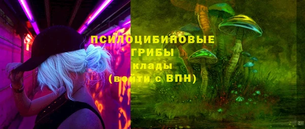 гидропоника Бородино