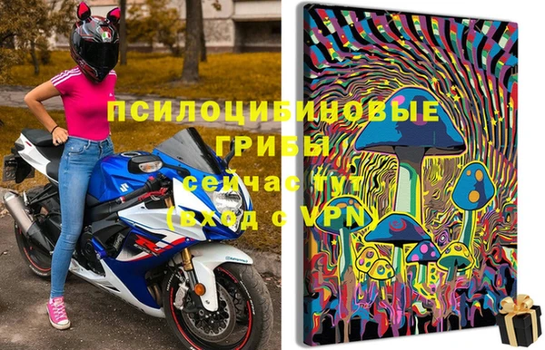 гидропоника Бородино