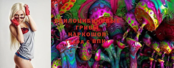 spice Бугульма